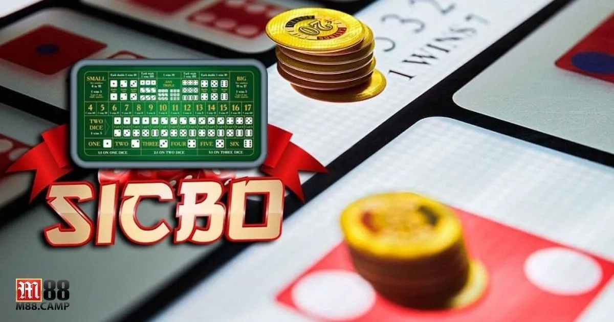 Nghiên Cứu Thuật Toán Tài Xỉu - Cách Phân Tích Dữ Liệu 3 Khi nào nên đặt cược theo quy luật cầu tài xỉu?